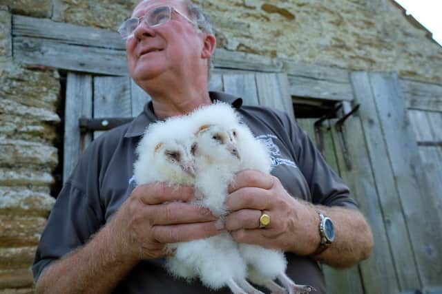 Colin Gibson with two Barn owl chicks. They are amongst the first to be born in special nesting boxes erected across the Howardian Hills National Landscape. - Image: Richard Darn/Howardian Hills Partnership
