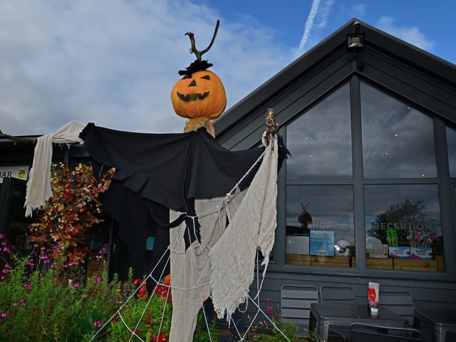 A pumpkin dressed for the occasion!
