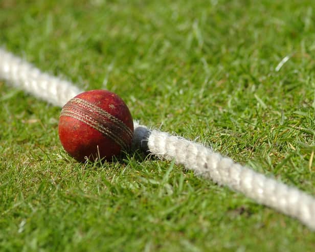Cricket reports