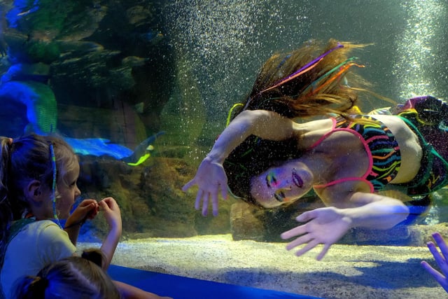 This mermaid looks like she is having fun!
