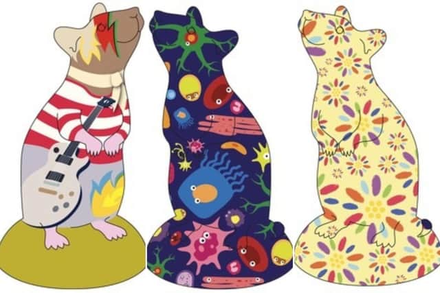 Three of the proposed rat designs.