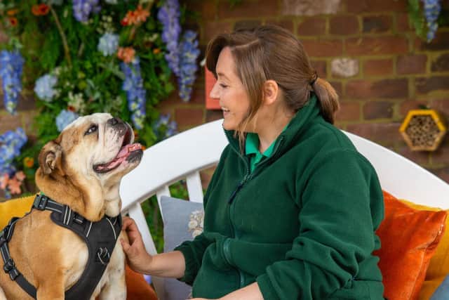 Woodgreen Pets Charity offers expert matching and lifelong support to people who can rescue their dogs.