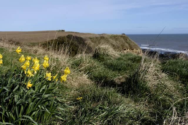 North Yorkshire Council have responded to concerns about a potential landslip on the Cleveland Way. (Landslip not pictured)