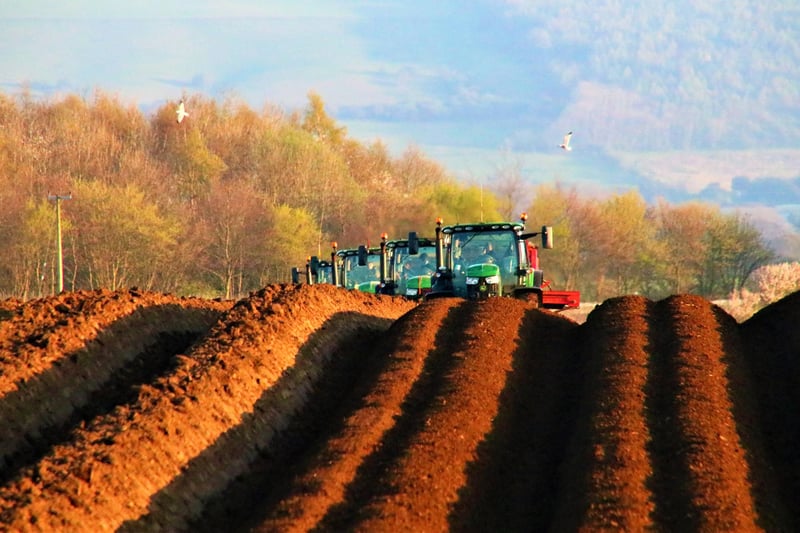 Potato planting at Seamer.
picture: Colin Richardson