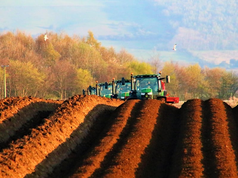 Potato planting at Seamer.
picture: Colin Richardson