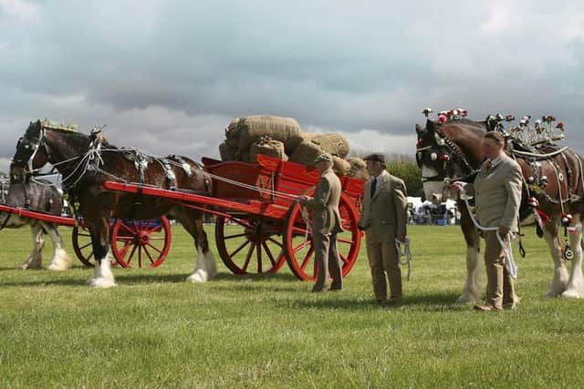 Horses at the Yorkshire Game & Country Fair.