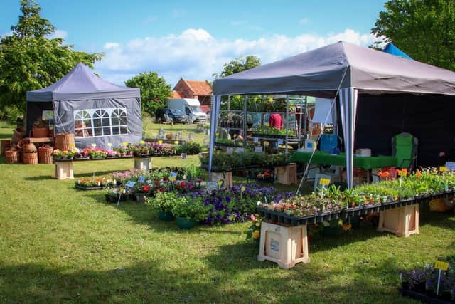 Plant Fair at Scampston