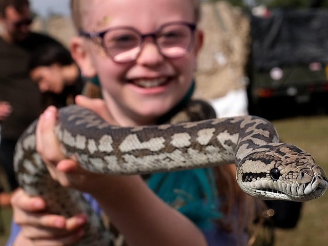 Snakes on show at the event