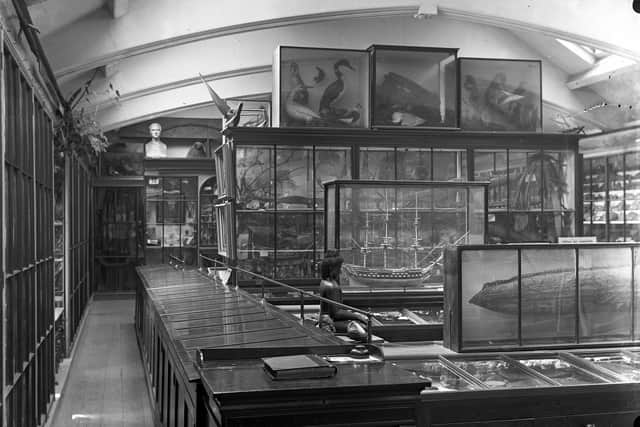 How the inside of Whitby Museum looked in 1931.