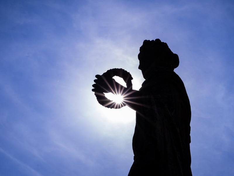 A statue caught in the summer sun.