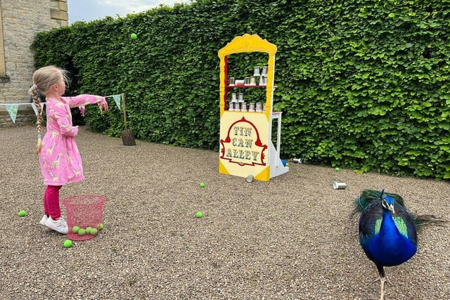 Enjoy classic games such as Tin Can Alley and Coconut Shy