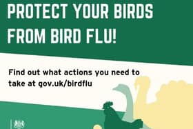 Avian flu cases have resulted in restrictions being placed across North Yorkshire.