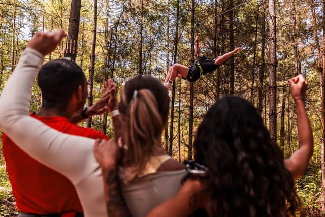 Take a leap of faith at Go Ape in Dalby