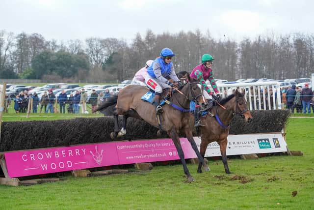 Job Well Done, blue and white, won the 16-runner maiden at Helmsley Races last Sunday, and may be in the hunt for glory ni the Restricted race at Charm Park this weekend. Photo by Tom Milburn Photography
