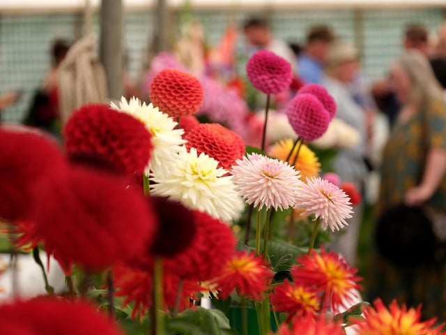 Blooming lovely!