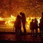 One ambitious project will be The Fire Garden, by Culture Creative, in the Rose Garden at Scarborough South Cliff.