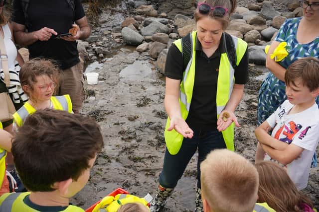 Rockpooling fun at Robin Hood's Bay. Photo: Andrew Davies/NT