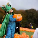 Pumpkin Patch