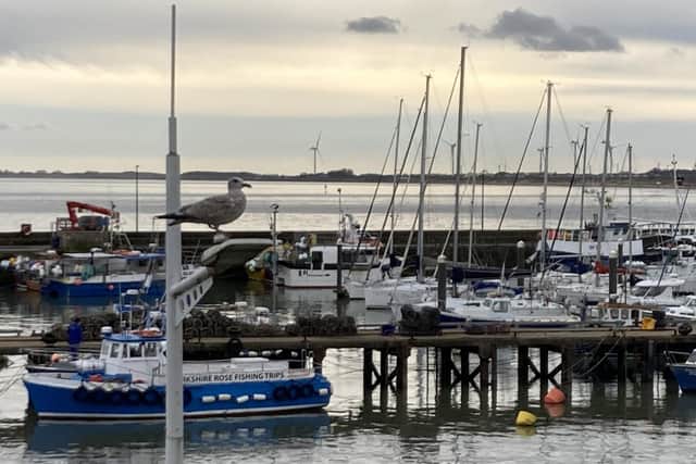 Bridlington harbour