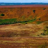 There is no more beautiful sight than Yorkshire in the Autumn. Photo: James Hardisty