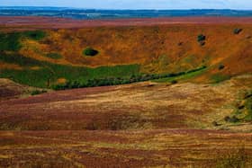 There is no more beautiful sight than Yorkshire in the Autumn. Photo: James Hardisty