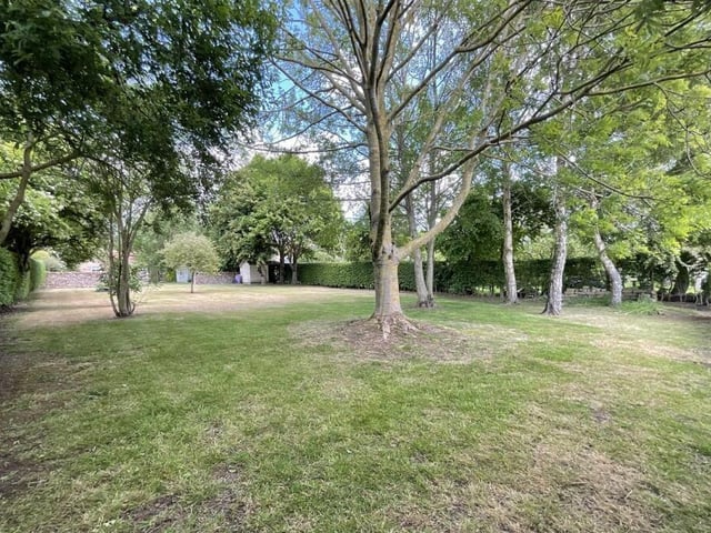 More of the land with scattered trees.