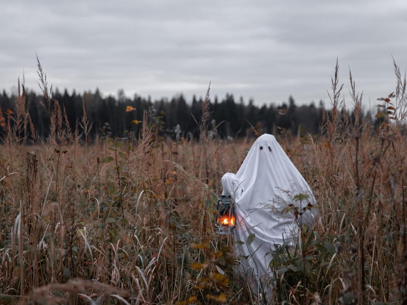 Spital Farm in Staxton are hosting a number of Halloween events on October 31. Children welcome until 8:00 PM with fun family-friendly activities. After 8:00 PM, the lights go down, the scares turn up, and the experience is strictly 14+—if you dare to continue... What Awaits You:Live Actors lurking in the dark to bring the haunting history to life, a full walk and talk tour of a 1200s building—dripping with secrets, spirits, and stories of the dead, delicious food & drink stalls to keep your courage up, bobbing for apples—a Halloween classic, pumpkin carving—craft your own creepy creation.