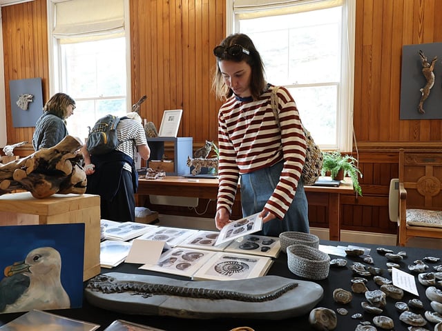 People enjoy browsing the artwork. photo: Richard Ponter