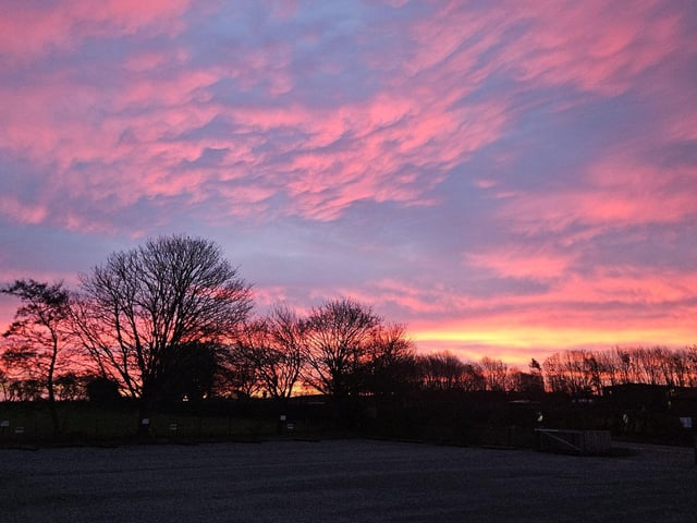 Photo submitted by Paul Jackson.