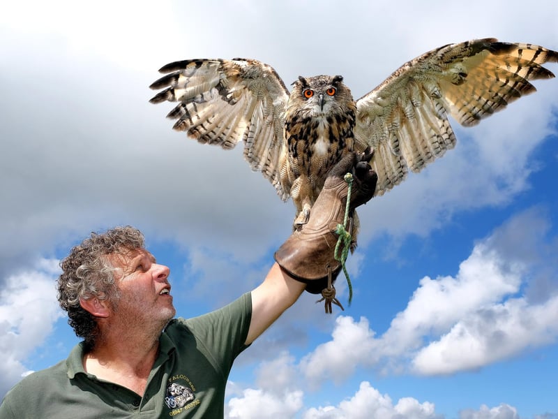 Neil Halley with Florence the European Eagle Owl.
picture: Richard Ponter