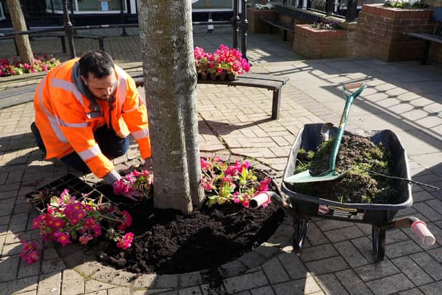 A member of the parks and grounds team at North Yorkshire Council plants flowers as part of the campaign. North Yorkshire Council has teamed up with local people and organisations for a major programme of improvement work in Scarborough, ahead of the busy summer season.