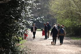 Hundred Acre Woods is popular with dog walkers
Picture: Sam Stephenson.