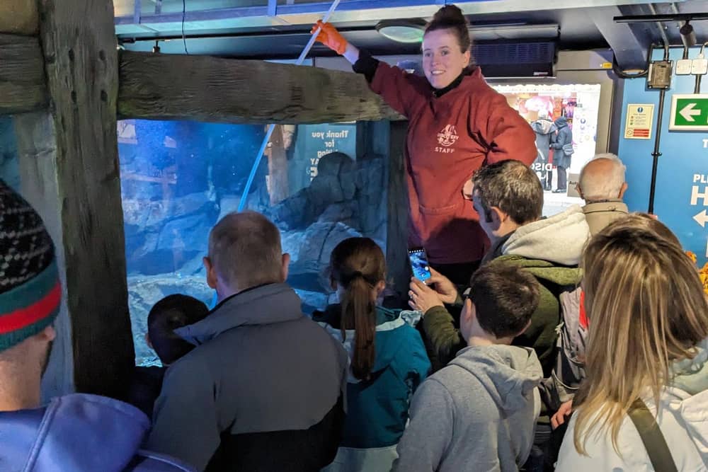 Head Aquarist Bryony feeding some of the residents at Whitby Marine Discovery Centre.