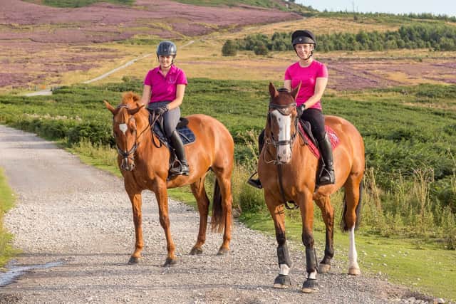 Horse riding on the Cleveland Way.