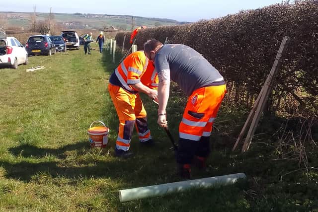 Ugthorpe & Hutton Mulgrave Parish Council marks WWII VE Day 80 by planting eight cherry blossoms just outside Ugthorpe.