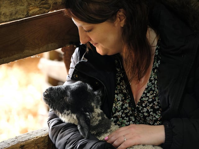 Enjoying the afternoon cuddling the lambs.