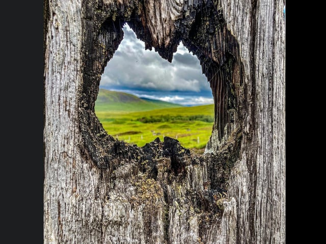 A stark contrast between the bark of the tree and the background through the hole.