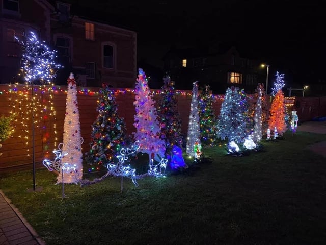 This Scarborough resident has a whole parade of festive trees decorating their garden.