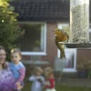 To take part, East Yorkshire residents need to log the birds that visit their garden during one hour at some point on January 26, 27 or 28. Photo courtesy of RSPB/Ben Hall.