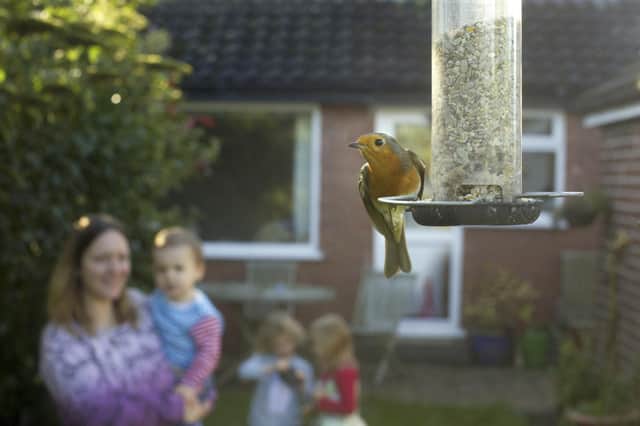 To take part, East Yorkshire residents need to log the birds that visit their garden during one hour at some point on January 26, 27 or 28. Photo courtesy of RSPB/Ben Hall.