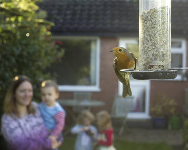 To take part, East Yorkshire residents need to log the birds that visit their garden during one hour at some point on January 26, 27 or 28. Photo courtesy of RSPB/Ben Hall.