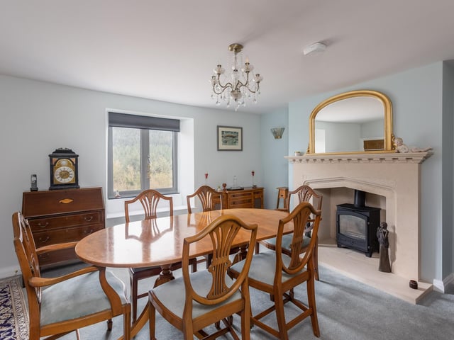 A good size dining room with feature fireplace and stove.