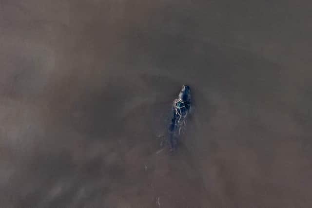 The seal was later spotted by a drone user swimming towards Bridlington (Image credit: BDMLR)