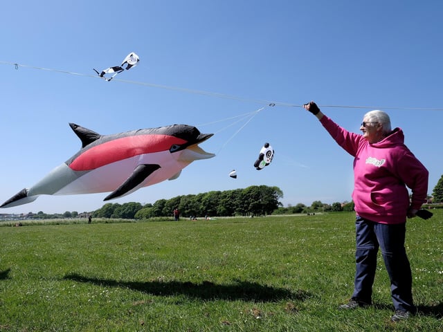Janet Elvin with her kite