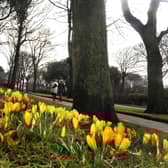 It looks set to be a mixed week weather wise, with frost, sunshine and rain.