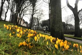 It looks set to be a mixed week weather wise, with frost, sunshine and rain.