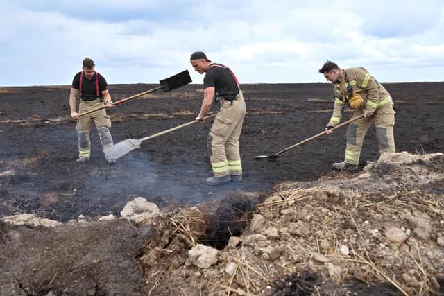 Firefighters work on the smouldering land. photo: Richard Ponter