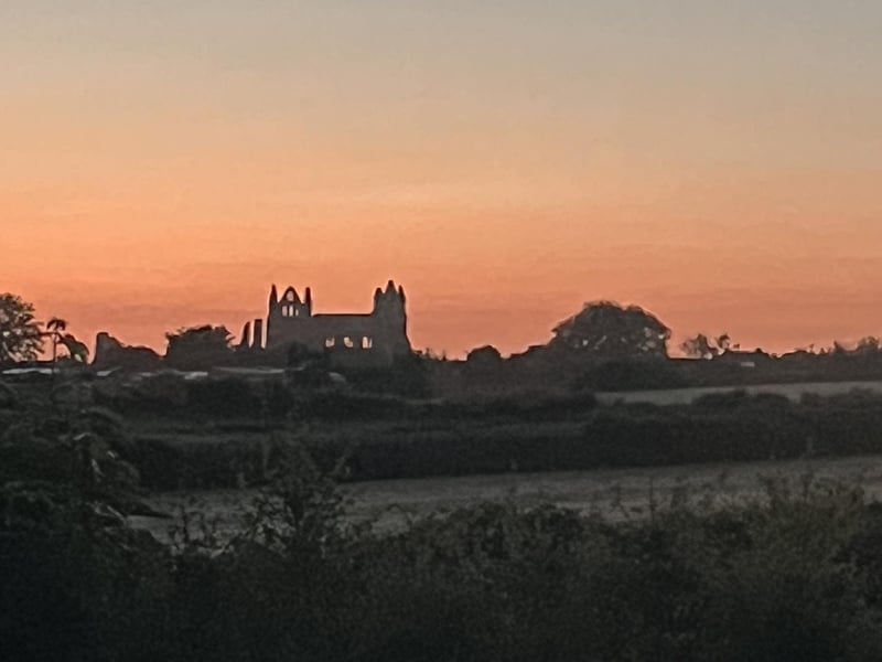 Whitby Abbey skyline, by Tracy Readman.