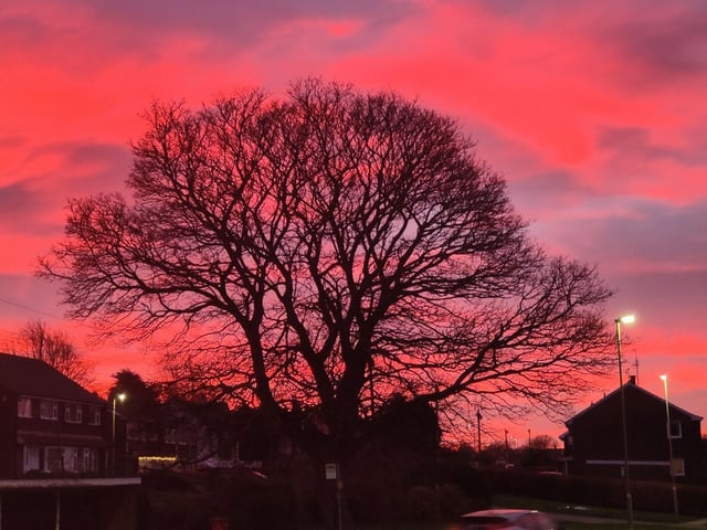 Photo submitted by David Hamilton.