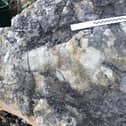 The 80cm footprint is the largest ever found in Yorkshire